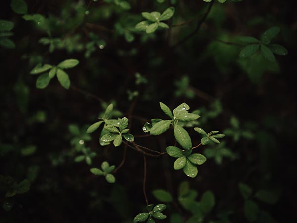 Ben Karpinski UR PNOruRPk Unsplash